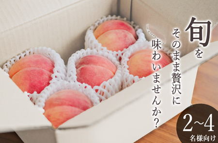 甲州市産 桃 約2kg(5〜8個入)自然農法[2026年発送](BNC)B-445 桃 フルーツ