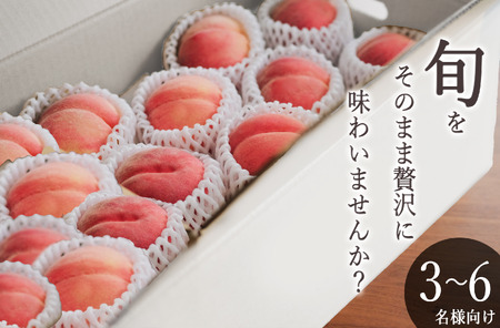 甲州市産 桃 約5kg(10〜14個入)自然農法[2026年発送](BNC)C-460 桃 フルーツ