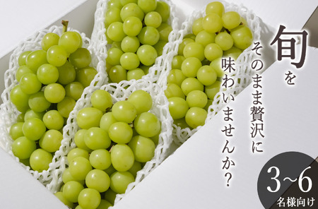 甲州市産 シャインマスカット 4〜5房入(約2.2kg)自然農法[2026年発送](BNC)D-176 シャインマスカット フルーツ