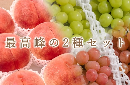 [定期便]甲州市自慢のたっぷり2種セット"桃5kg"と"シャイン&サンシャインレッド4房入"自然農法[2026年発送](BNC)H2-425 桃 シャインマスカット サンシャインレッド フルーツ