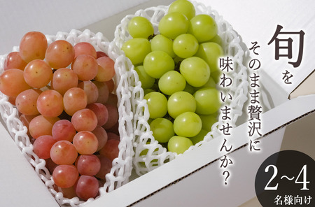 甲州市産 シャインマスカット&サンシャインレッド 2房入(約1.1kg)自然農法[2026年発送](BNC)B15-427 シャインマスカット サンシャインレッド フルーツ