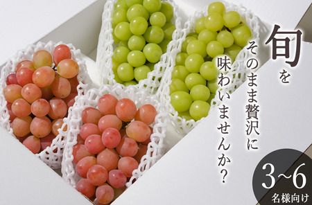 甲州市産 シャインマスカット&サンシャインレッド 4房入（約2.2kg）自然農法【2026年発送】（BNC）C9-425 シャインマスカット サンシャインレッド フルーツ