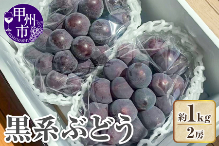 [クール配送]山梨県産黒系ぶどう2房(約1kg)[2026年発送](KFT)B11-1812 黒ぶどう フルーツ