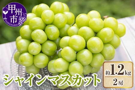 [クール配送]極上!山梨県産シャインマスカット2房(約1.2kg)[2026年発送](KFT)B13-1813 シャインマスカット フルーツ