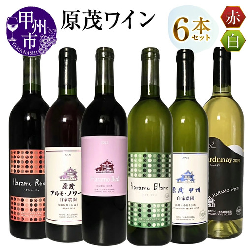 ワイン 原茂ワイン6本セット（MG）H-670