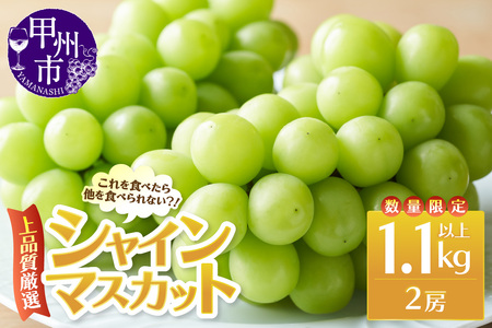 上品質厳選!!のため数量限定 これを食べたら他を食べられない!シャインマスカット 1.1kg以上(2房入り)[2026年発送](MRN)B-1471 シャインマスカット フルーツ