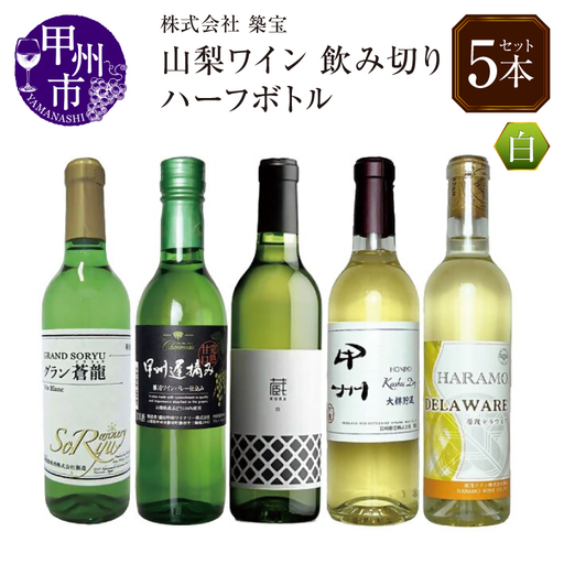 ワイン 飲みきりハーフボトル 白ワイン 5本セット（CKH）B17-770