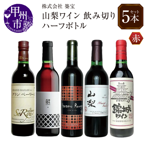 ワイン 飲みきりハーフボトル 赤ワイン 5本セット（CKH）B17-771