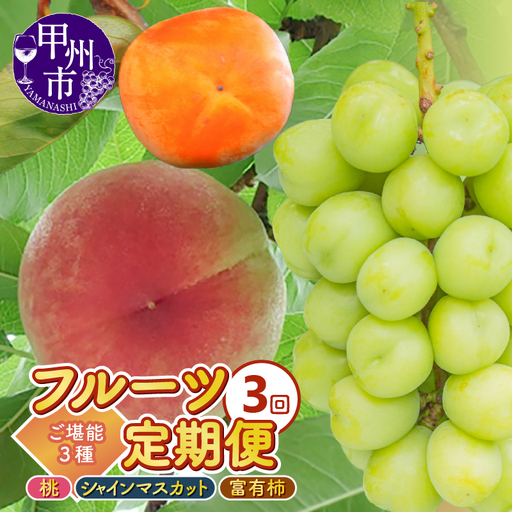 [定期便]3回フルーツ定期 桃約2.0kg(5〜8玉)シャインマスカット約1.0kg(2房)富有柿約2.5kg(9〜12個)ご堪能3種セット[2026年発送](KKK)C8-830 桃 シャインマスカット フルーツ