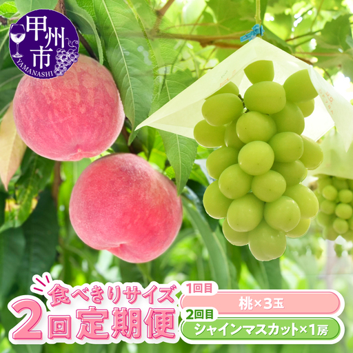 [定期便]食べきりサイズ 甲州市からお届けする 桃&シャインマスカット[2026年発送](KSB)B16-130 もも シャインマスカット フルーツ