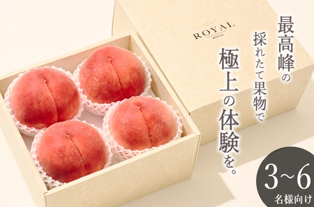 甲州市産 大玉桃 4個入り 1.8kg以上 自然農法【2026年発送】（BNC）B18-110 桃 フルーツ