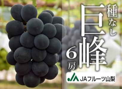 JAフルーツ山梨 甲州市産種なし巨峰6房[100][2025年発送]C-107