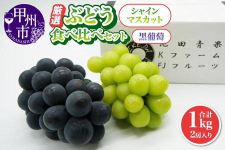 厳選 葡萄食べ比べセット 1.0kg 2房入り[2024年発送](IS)B-474