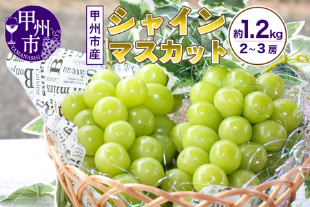 山梨の自然が産んだスイートエメラルド甲州市産シャインマスカット!約1.2kg 2房〜3房[2025年発送](UD)B-865[シャインマスカット 葡萄 ぶどう ブドウ 令和7年発送 期間限定 山梨県産 甲州市 フルーツ 果物]