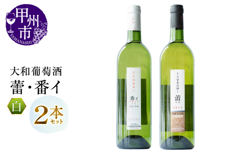 大和葡萄酒が贈る『蕾』『番イ』甲州ワイン飲み比べ2本セット(MG)B15-691