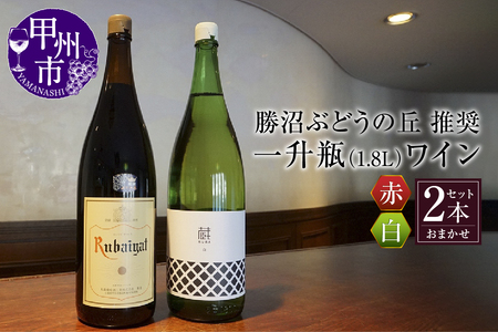 ワイン 勝沼ぶどうの丘推奨一升瓶ワイン 2本セット（KBO）C-650
