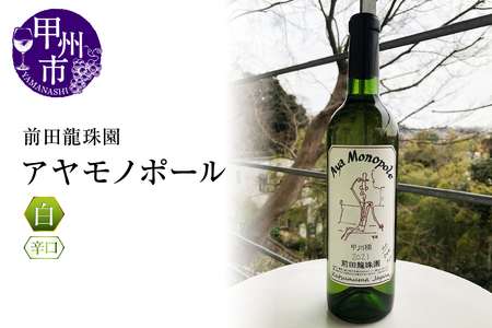 [香高くスッキリ] 自家栽培古樹甲州 アヤモノポール 白ワイン(MRF)B17-830