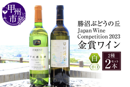 JapanWine Competition2023 金賞白ワイン2本セット