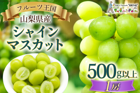 [2025年発送]ぶどう 山梨県産 シャインマスカット500g以上(1房) [株式会社えべし 山梨県 中央市 21470865] フルーツ 果物 くだもの ブドウ シャイン マスカット 葡萄 期間限定 季節限定