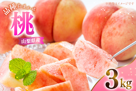 桃 山梨県産 桃 3kg 品種おまかせ [さとう農園 山梨県 中央市 21471042] 白桃 白鳳 もも モモ フルーツ 果物 くだもの