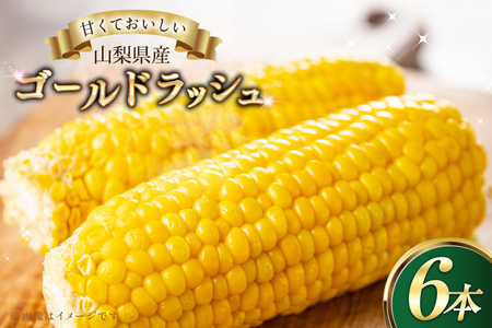 とうもろこし ゴールドラッシュ 6本 [さとう農園 山梨県 中央市 21471040] トウモロコシ スイートコーン 甘い コーン 野菜