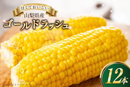 とうもろこしゴールドラッシュ 12本入り [さとう農園 山梨県 中央市 21471039] トウモロコシ スイートコーン 甘い コーン 野菜
