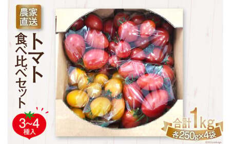 [先行受付]新鮮 採れたて トマト 食べ比べセット 1kg(250g×4袋) [ マルヨシ園芸 山梨県 中央市 21470547 ] とまと 野菜 食べ比べ 1キロ 季節限定 数量限定[2026年1月上旬-5月下旬発送予定]