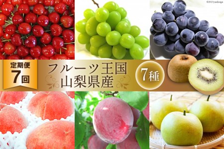 定期便 7回 山梨県産 フルーツ 7種セット 産地直送 果物 / 農業法人えべし / 山梨県 中央市