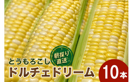 ys\zƂ낱 h`Fh[ 10{ [}V| R s 21470552] ̂ VN Ԍ gERV Â W[V[  _ƒ y2026N6{`7{\