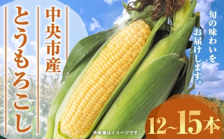 中央市産 とうもろこし 12〜15本 コーン 野菜 やさい 旬のお野菜 国産 山梨県産 [ 2026年6月下旬発送予定 ]