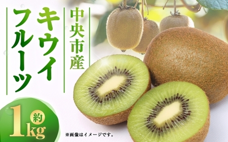 中央市産 キウイフルーツ ( ヘイワード ) 約1kg フルーツ 果物 くだもの キウイ 国産 山梨県産 旬の果物 [ 2026年12月下旬発送予定 ]