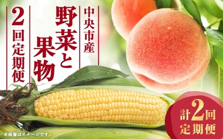 [ 2回定期便 ] 中央市産 とうもろこし、もも くだもの 果物 フルーツ 野菜 やさい ピーチ コーン 旬のお野菜 旬の果物 モモ 桃 国産 山梨県産 定期便 [ 2026年6月下旬〜7月下旬発送予定 ]