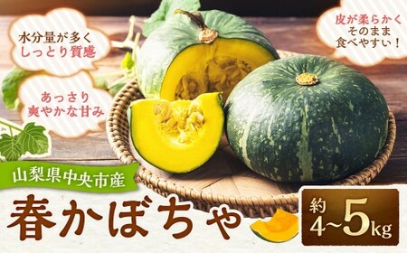 [先行受付]山梨県中央市産 春かぼちゃ 約4〜5kg かぼちゃ 南瓜 カボチャ 野菜 山梨県 中央市 [2026年6月上旬〜8月上旬発送予定]