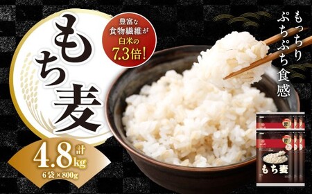 もち麦 800g×6袋 もち大麦 穀物 食物繊維 ご飯 ごはん 山梨県 中央市 送料無料