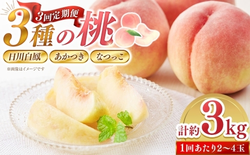 [ 3回定期便 ]3種の桃が楽しめる!計約3kg [2026年6月下旬〜7月下旬発送予定] 桃 定期便 3回 日川鳳凰 あかつき なつっこ 食べ比べ