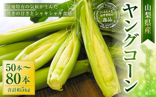 ヤングコーン 約5kg(50〜80本入) [2026年5月上旬〜5月下旬発送予定] とうもろこし スイートコーン 甘み 食感 野菜 やさい 冷蔵 コーン 国産 山梨県産