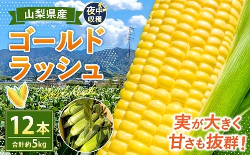 夜中収穫! とうもろこし ( ゴールドラッシュ ) 12本 ( 約5kg ) [2026年5月下旬〜6月上旬迄発送予定] 野菜 やさい トウモロコシ コーン スイートコーン 甘い 水分 糖分 国産 山梨県産