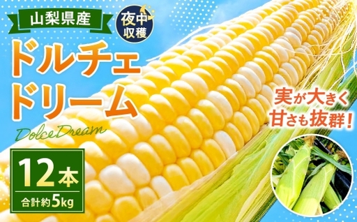 夜中収穫! とうもろこし ( ドルチェドリーム ) 12本 ( 約5kg ) [2026年6月上旬〜下旬迄発送予定] 野菜 やさい トウモロコシ コーン スイートコーン 甘い 水分 糖分 国産 山梨県産