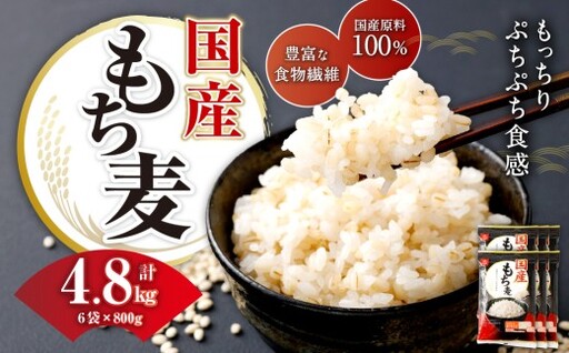【はくばく】国産もち麦 800g×6袋 もち大麦 穀物 食物繊維 ご飯 ごはん 山梨県 中央市 送料無料