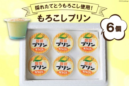 [採れたてとうもろこし使用!]もろこしプリン 90ml×6個 / 道の駅とよとみ / 山梨県 中央市 [21470078] 国産 とうもろこし プリン とうもろこしプリン 前菜 デザート スイーツ