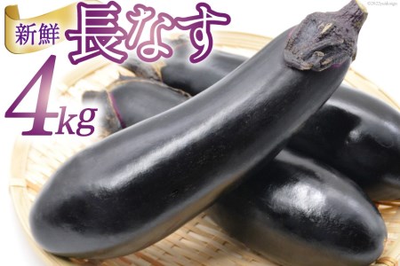 【期間限定発送】 野菜 長ナス 33～39本前後 4kg箱 [ラハマン農園 山梨県 中央市 21470840] ナス なす 茄子 やさい 大容量 期間限定 季節限定 数量限定 産地直送