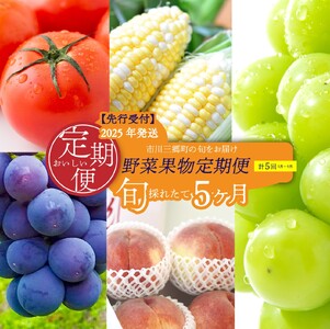 [先行予約]市川三郷町の旬をお届け!野菜果物定期便 2025年発送[5839-1981]