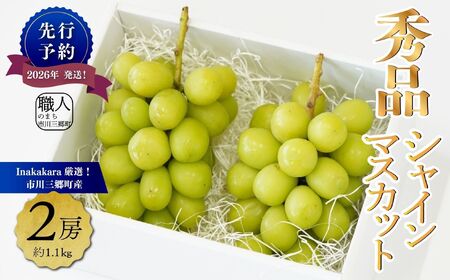 �V���C���}�X�J�b�g �y2026�N�����z�G�i �R�� 2�[ (��1.1kg) �Ԃǂ� ���� �R���� �t���[�c �ʕ� �������� �M�t�g �Y�n���� �l�C Inakakara���I [5839-1978]