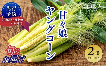 [2026年5月上旬から発送]甘々娘のヤングコーン 2kg 約30本入り 渡邊農園 市川三郷町産[5839-1995]