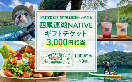lA NATIVEMtg`Pbg3,000~@native surf[5839-2051]