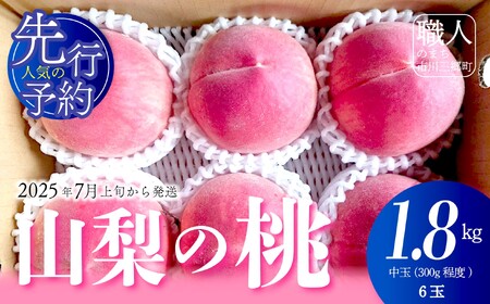 【先行予約】 朝もぎ直送！山梨の桃　中玉(300g程度) 6玉　約1.8kg【2025年7月上旬から発送】おさだ農園[5839-2120]