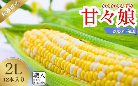 y2026N6{甭zsOY@Ƃ낱 ÁX@2LTCY 12{ Dragon Farm R sO lC XC[gR[ R[ gERV ̂ s s\ Â  