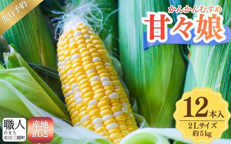 �ÁX���@�Ƃ����낱���@�QL�T�C�Y�@12�{����@�y2026�N6����{���甭���z�@�C�`�}���_��[5839-2329]