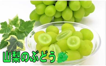 [先行予約] 2025年8月下旬発送![産地直送]山梨県産:シャインマスカット 2kg箱 塩島農園[5839-1220]