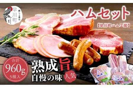 早川町ハム 工房セット